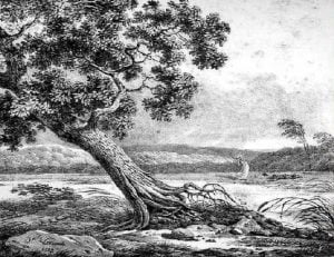 Illustration de la fable Le Chêne et le roseau La Fontaine
