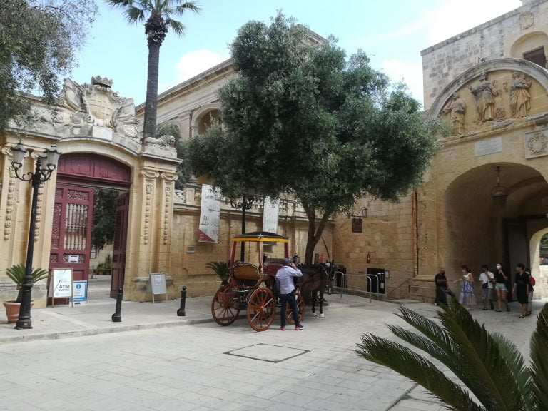 6-Mdina 1