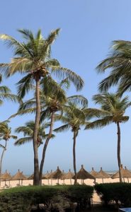 Plage stage BTS tourisme