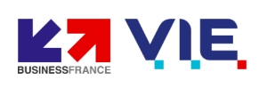 BF-VIE logo