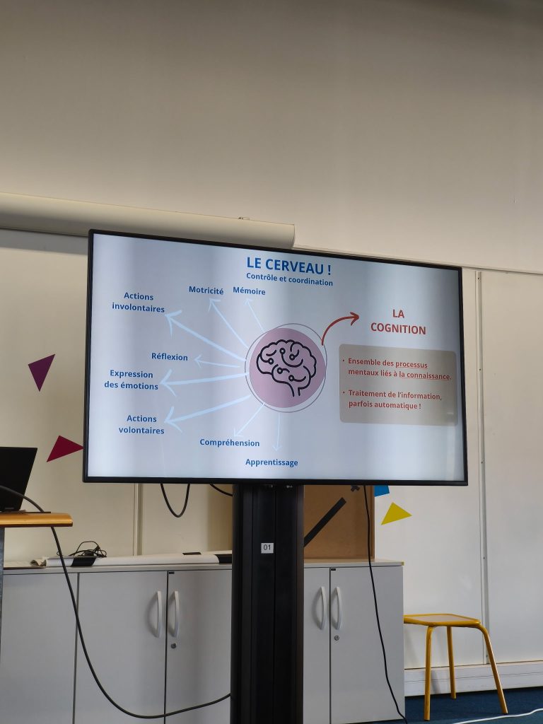 écran biais cognitif ndrc